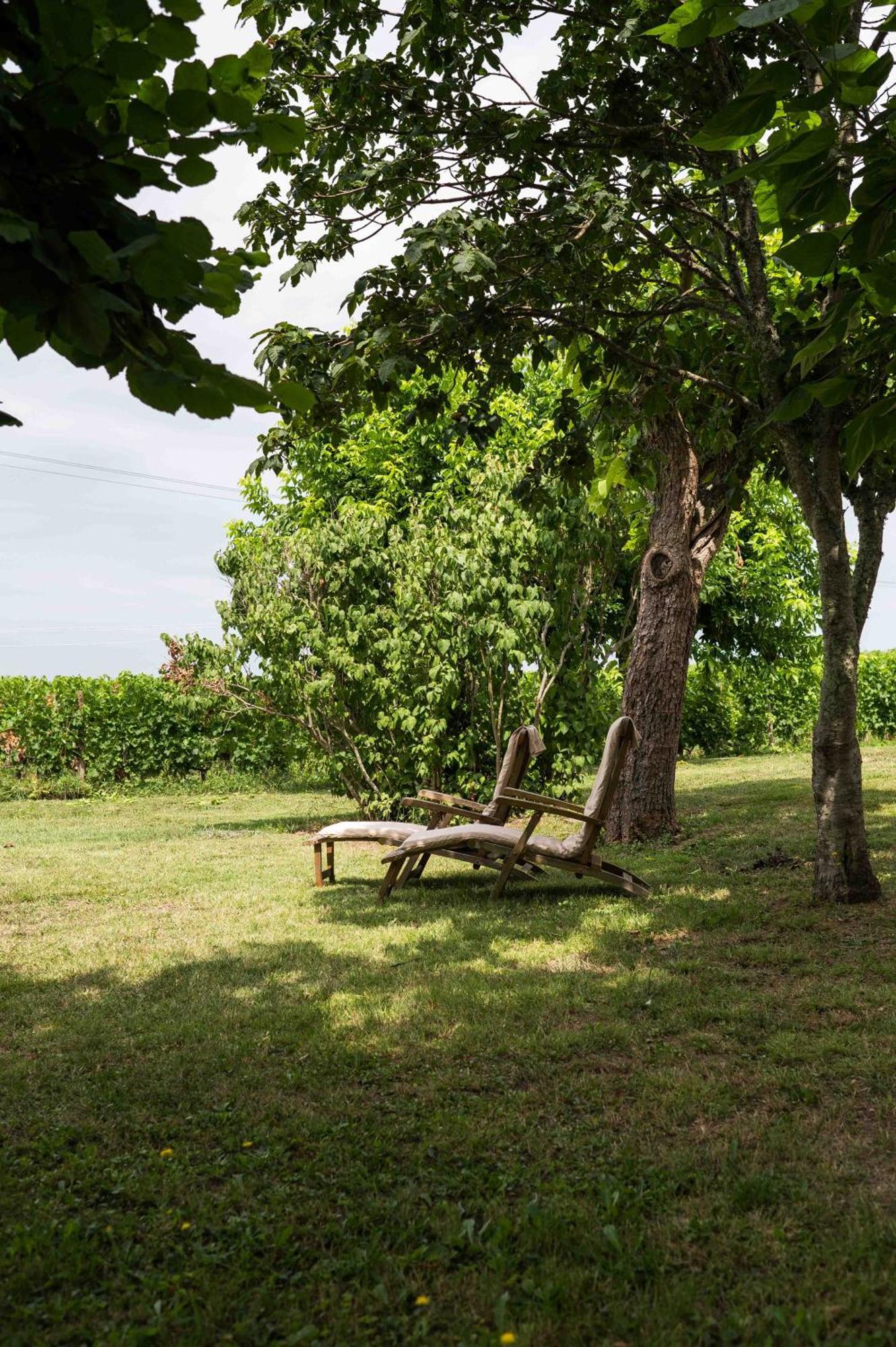 מונטן Clos De La Barbanne מראה חיצוני תמונה