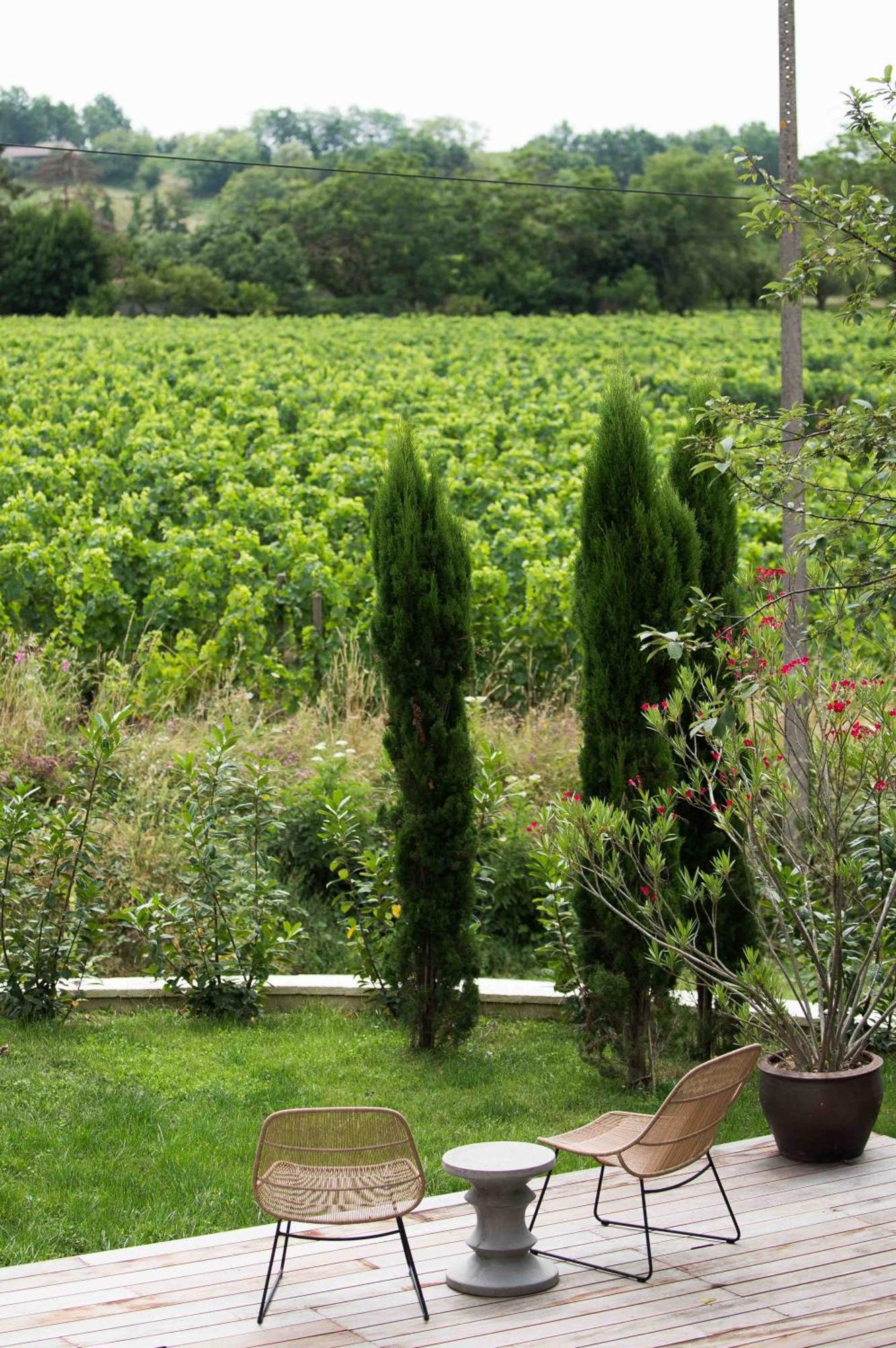 מונטן Clos De La Barbanne מראה חיצוני תמונה
